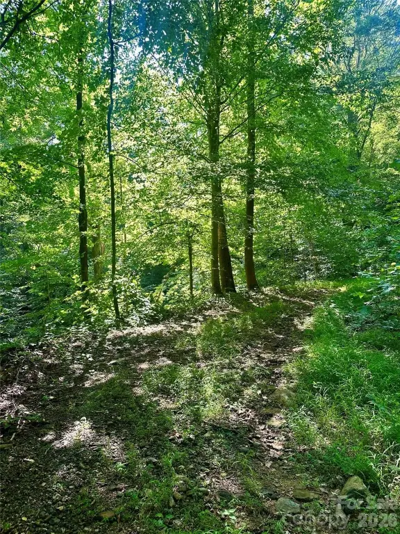 Picture 25