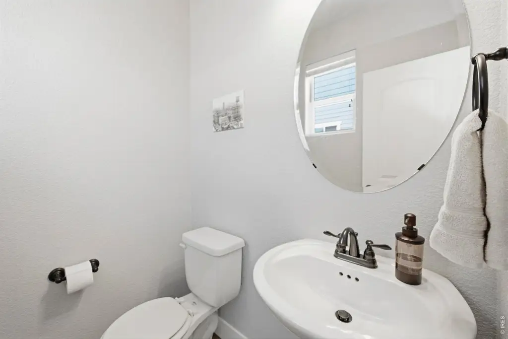 Picture 15
