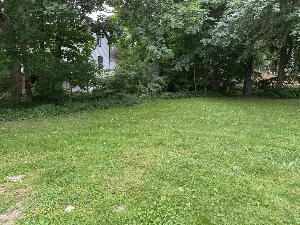 Picture 33