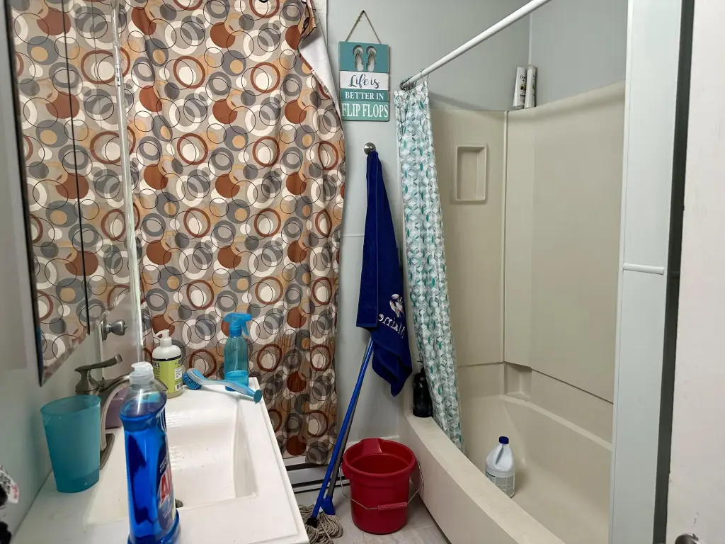 Picture 8