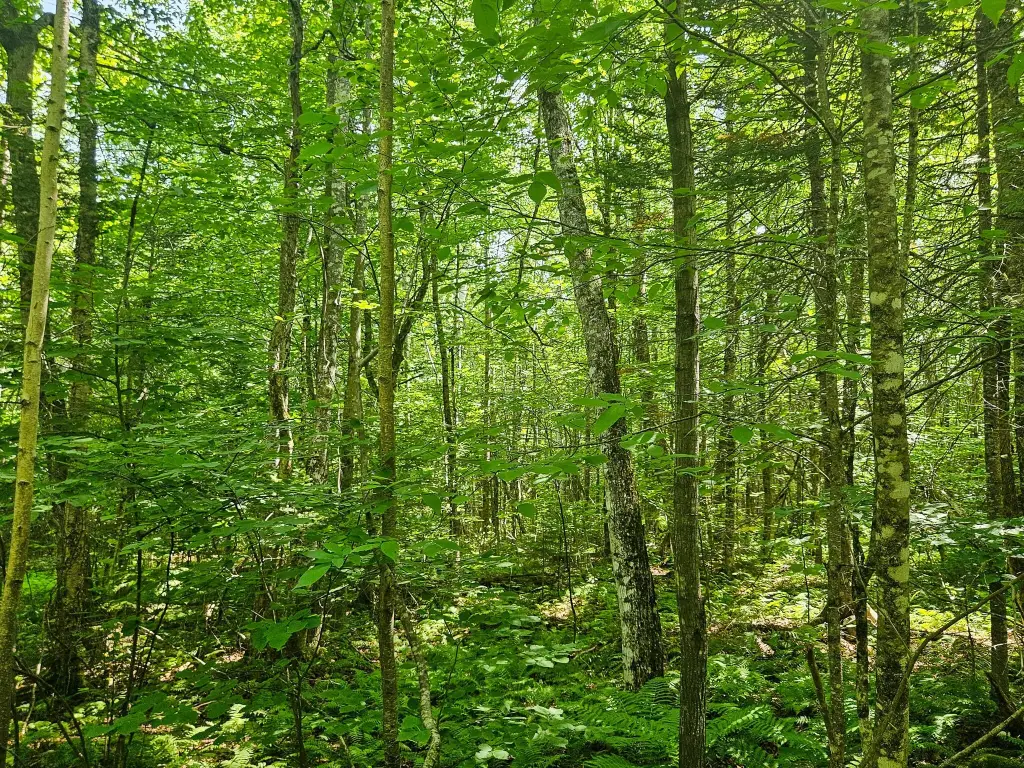 Picture 16