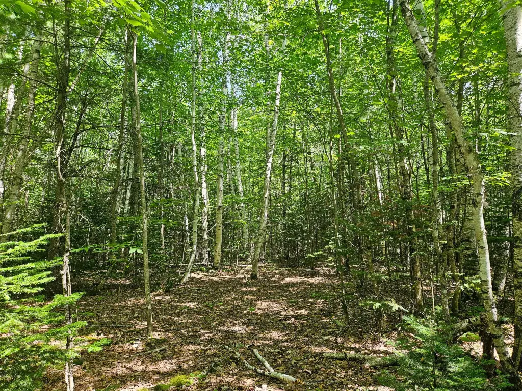 Picture 19