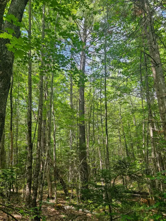 Picture 25
