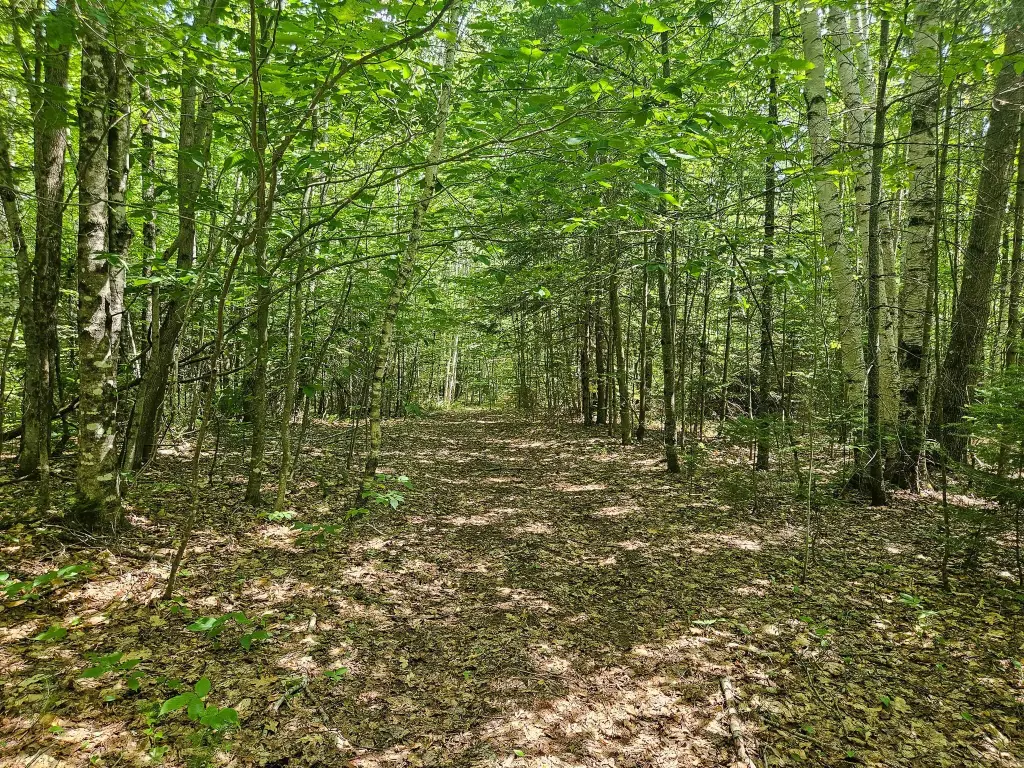 Picture 20