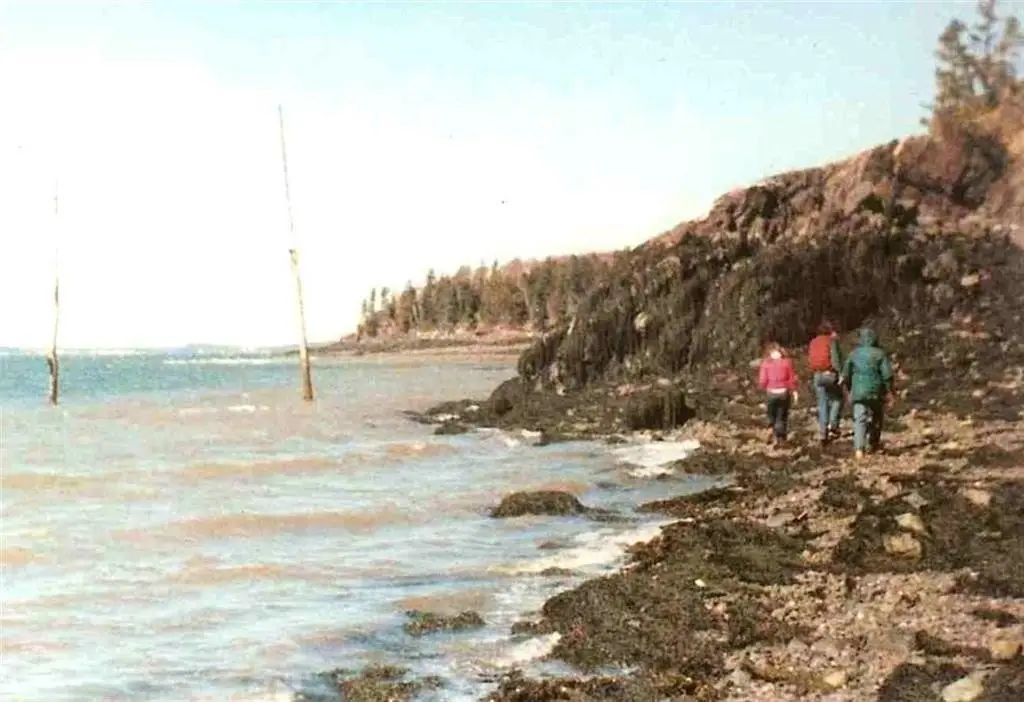 Picture 3