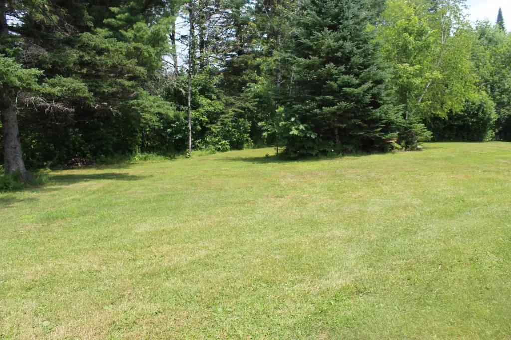 Picture 26