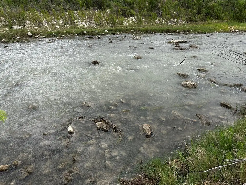 Picture 8