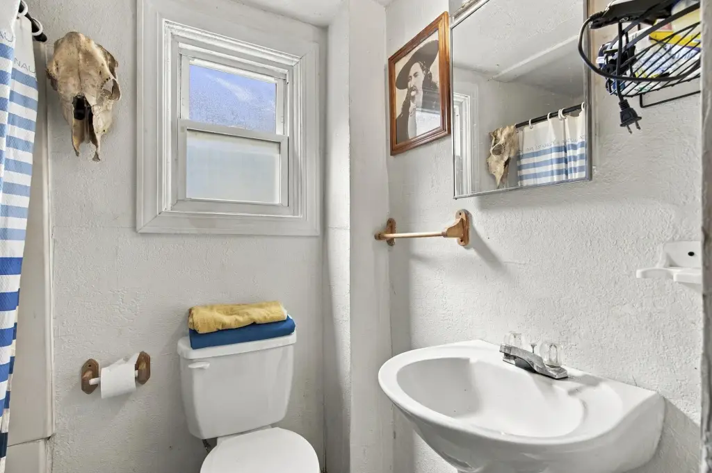 Picture 8
