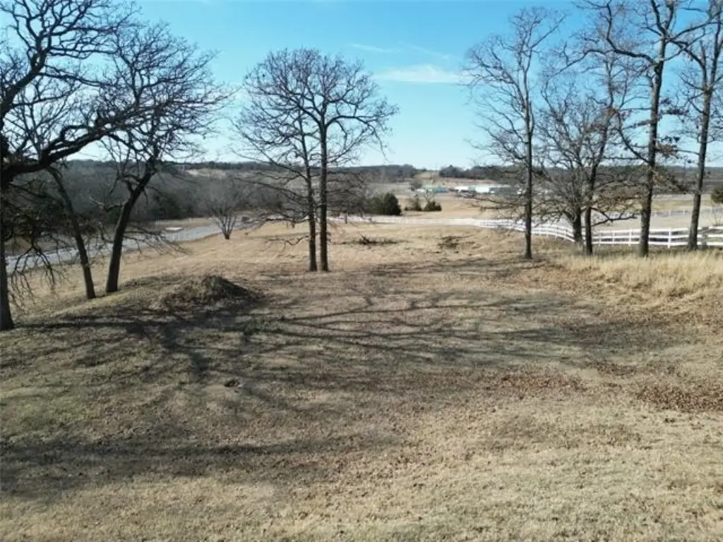 Picture 9