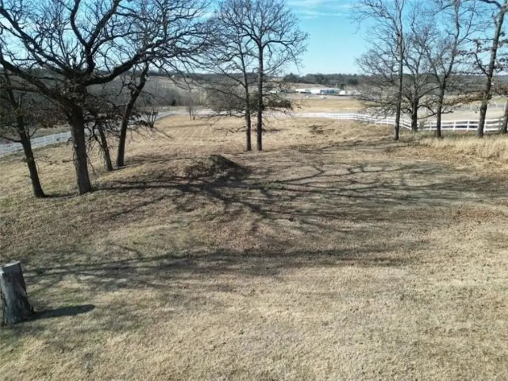Picture 3