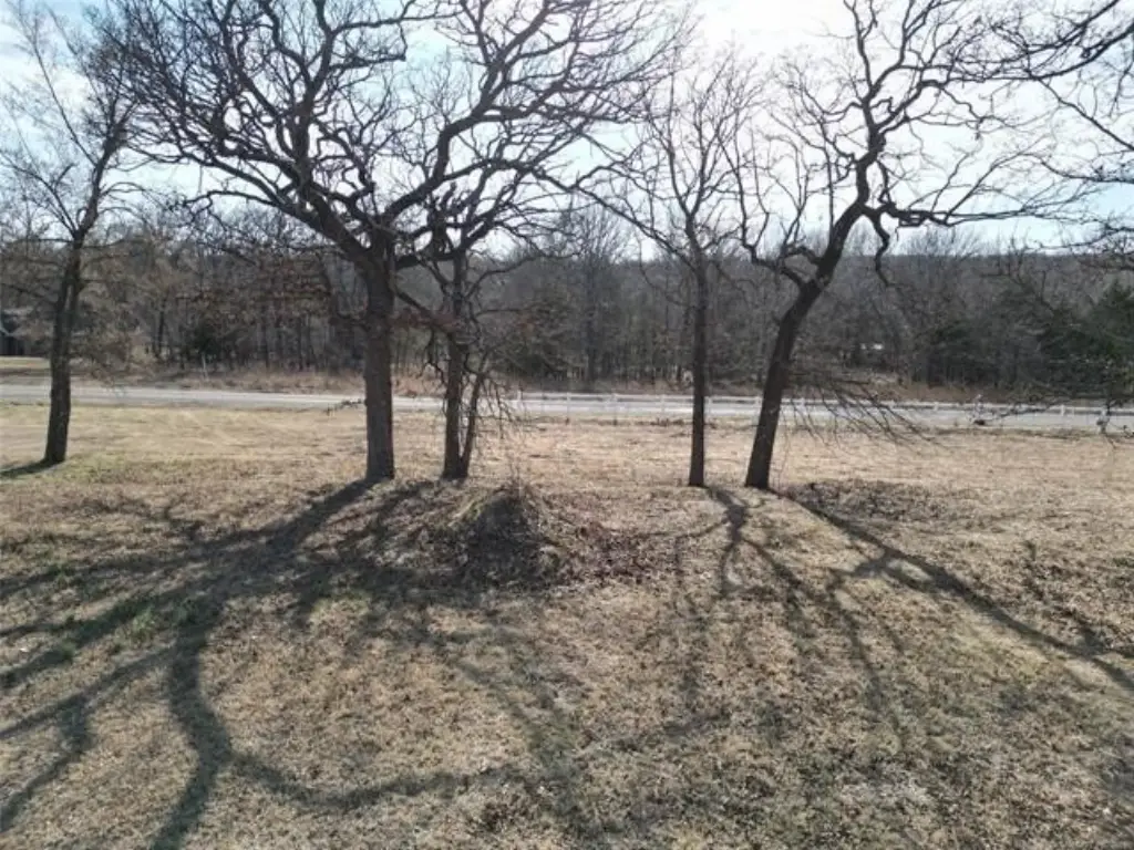 Picture 10
