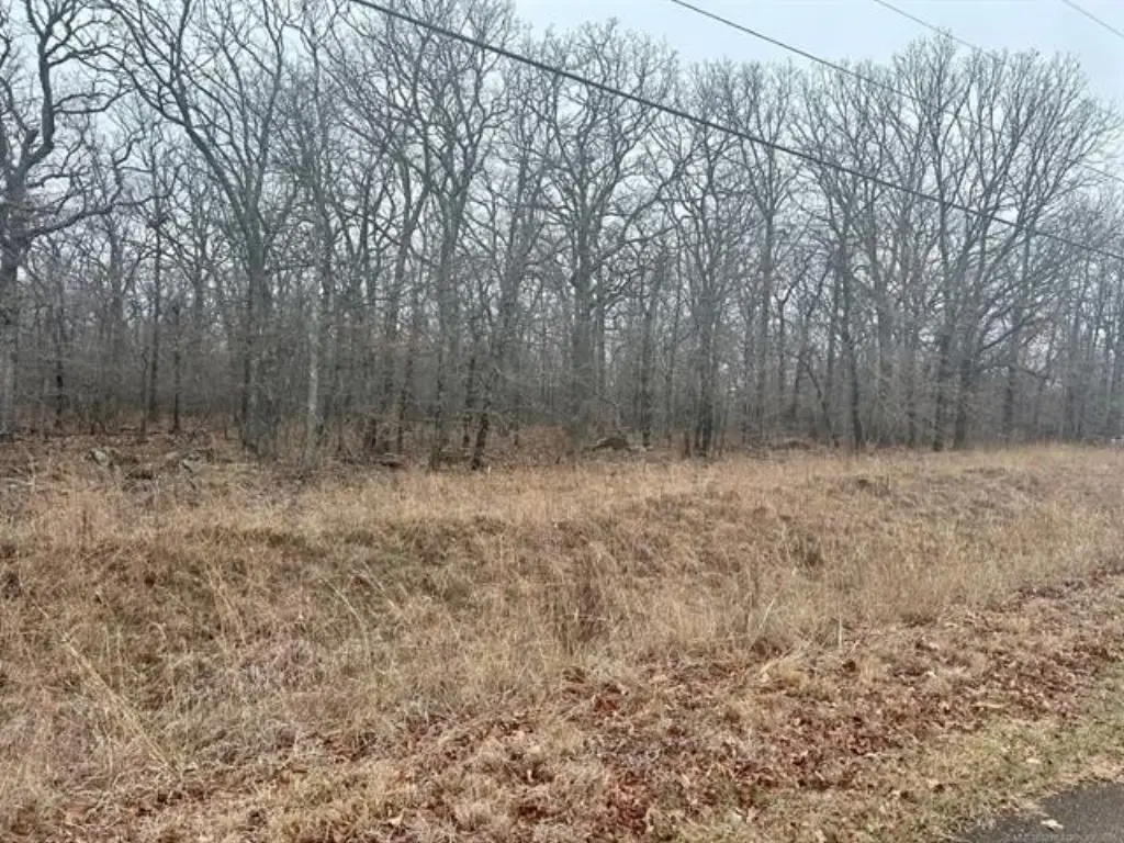 Picture 3