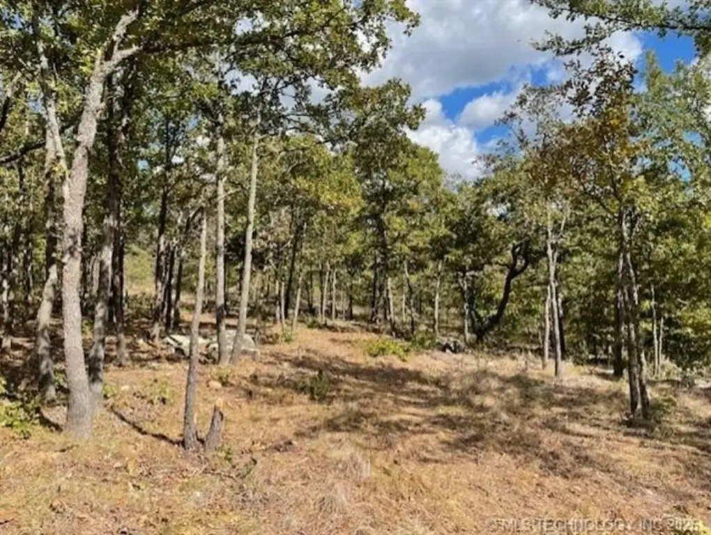 Picture 4