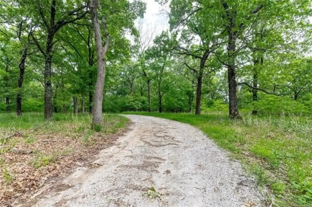 Picture 8