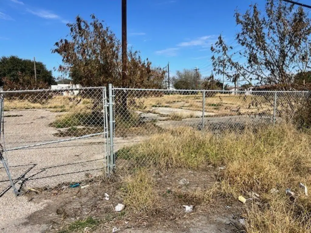 Picture 5