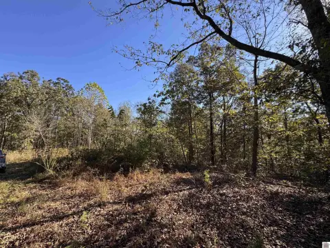 Kentucky Land Near Kentucky Lake