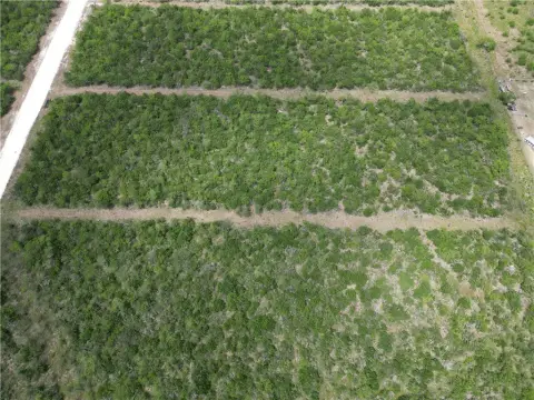 Land For Sale Skidmore, TX