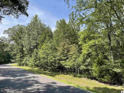 Residential Lot in Lake Area