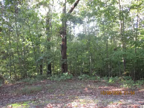 Residential Land in Cadiz, KY