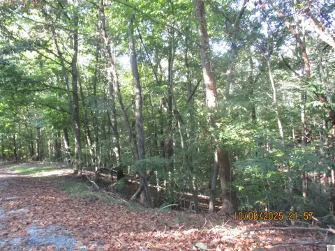 Residential Land in Cadiz, KY