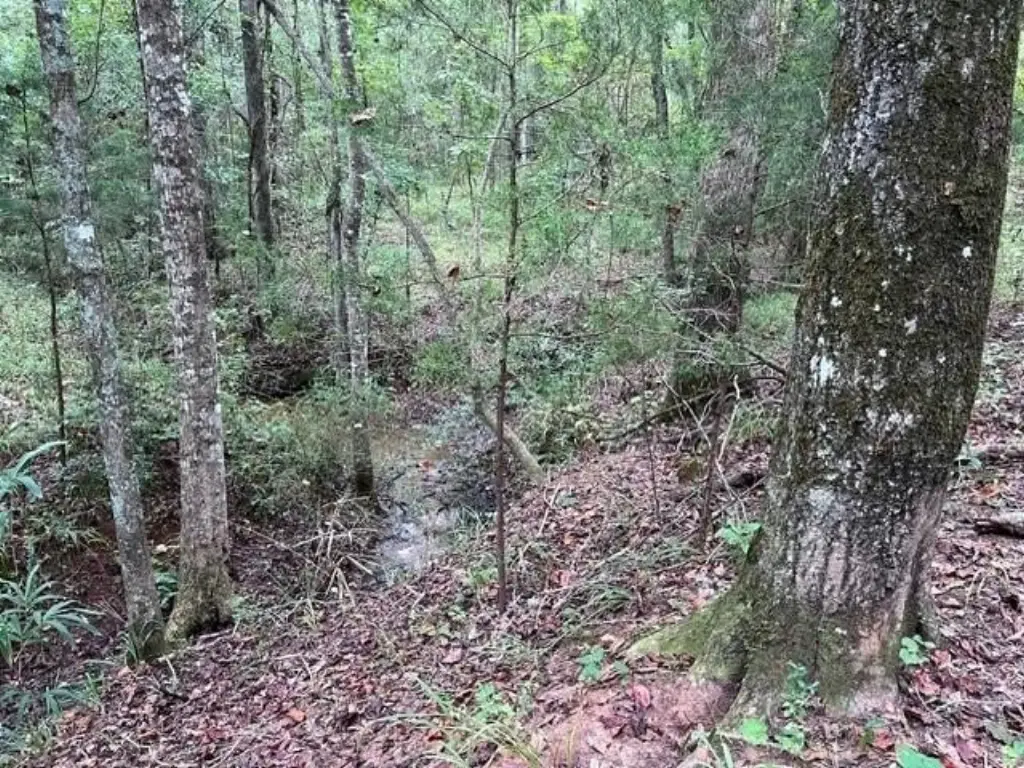 Picture 17