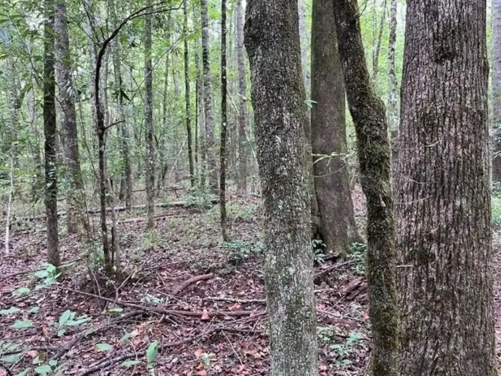 Picture 12