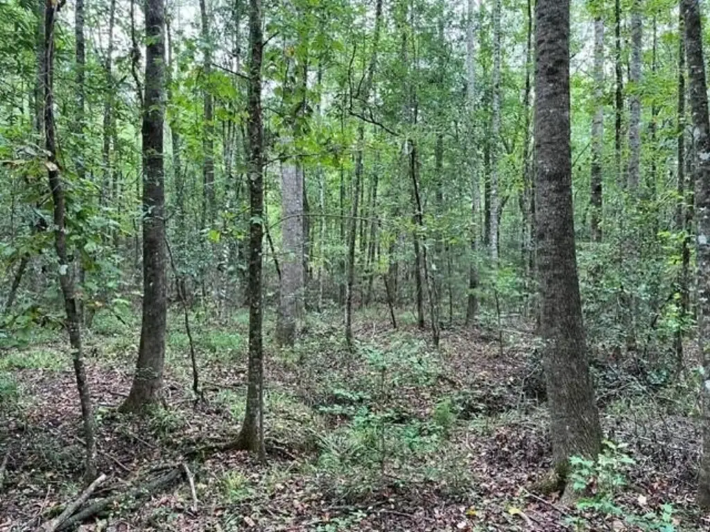 Picture 10