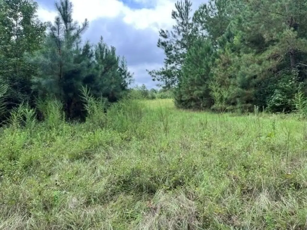 Picture 21