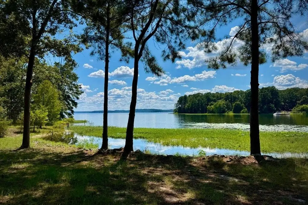 Picture 20