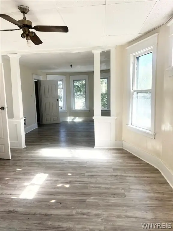 Picture 5