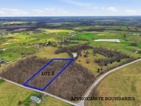 Cynthiana Wooded Land For Sale