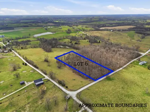 Cynthiana, KY Wooded Land Parcel