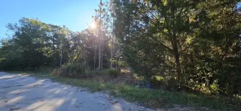 HOMOSASSA, FL Land Opportunity