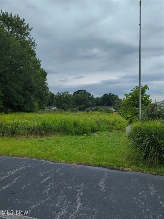 Picture 33