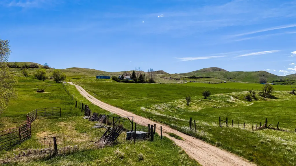Picture 34