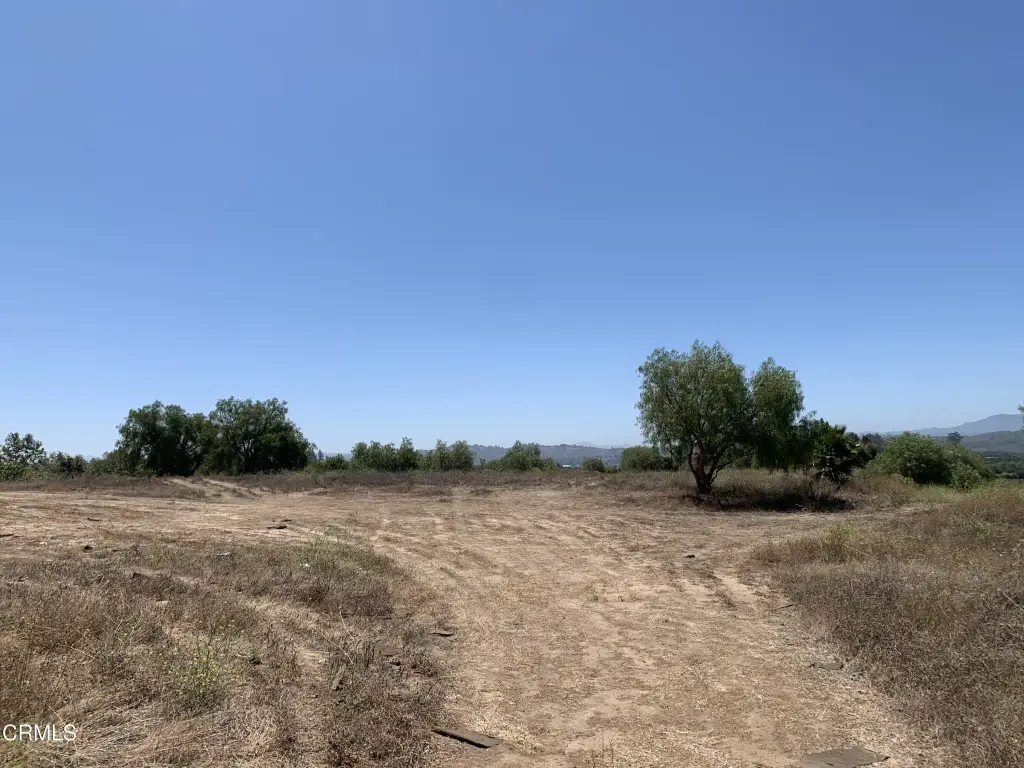 Picture 29