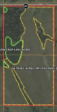 Prime Hunting and Income Ground