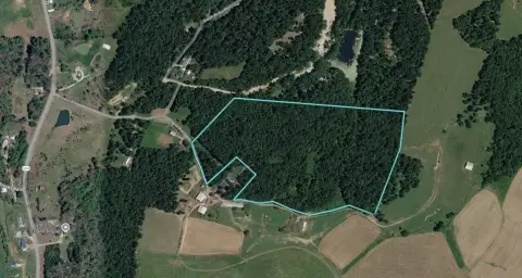 Mature-Treed Hunting Land Parcel