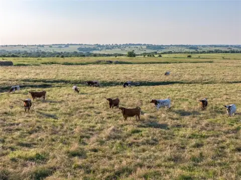 250 Acre Ranch Near DFW