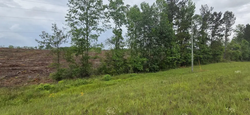 Picture 3