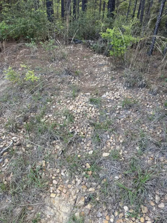 Picture 11