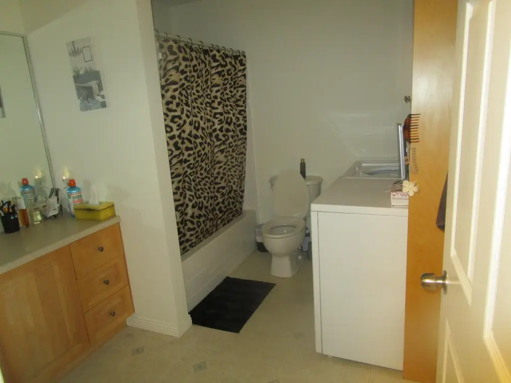 Picture 32