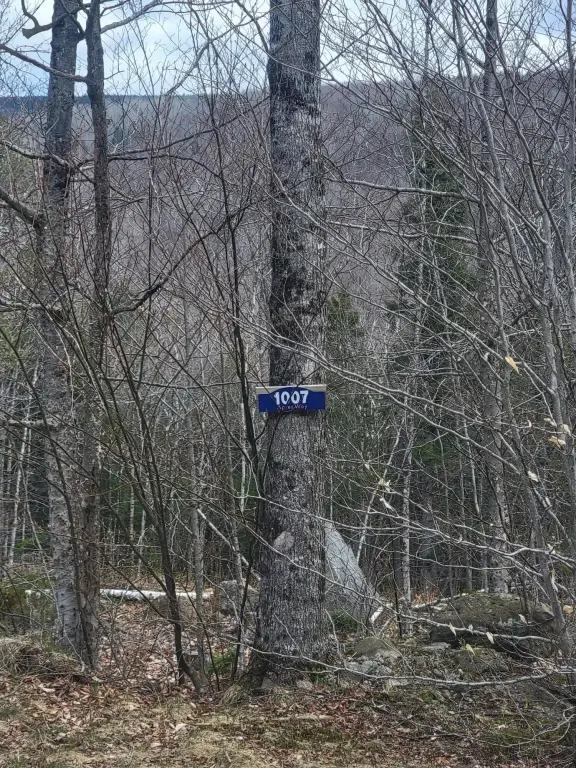 Picture 25
