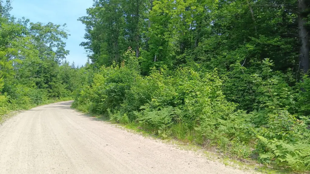 Picture 5