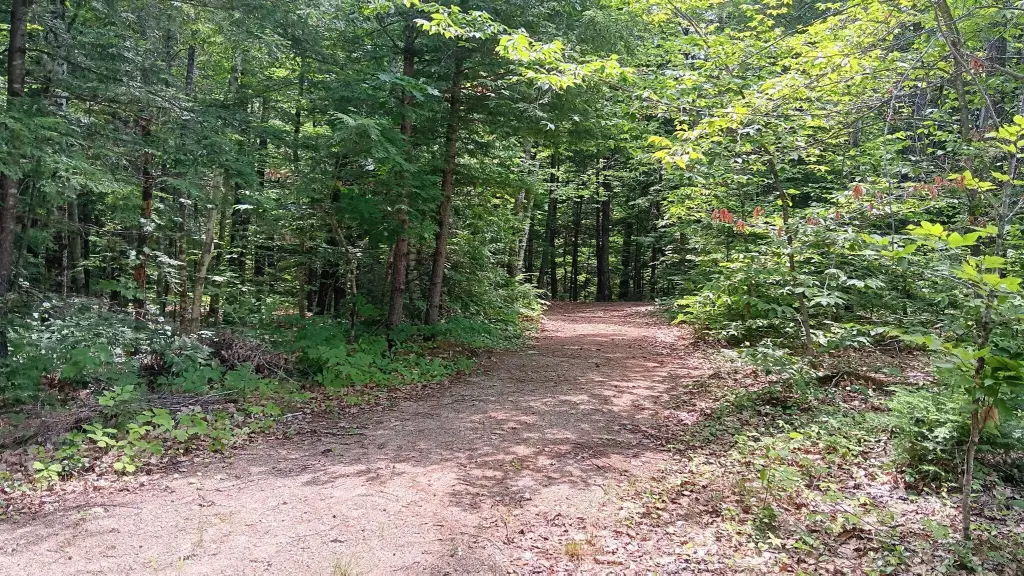 Picture 3