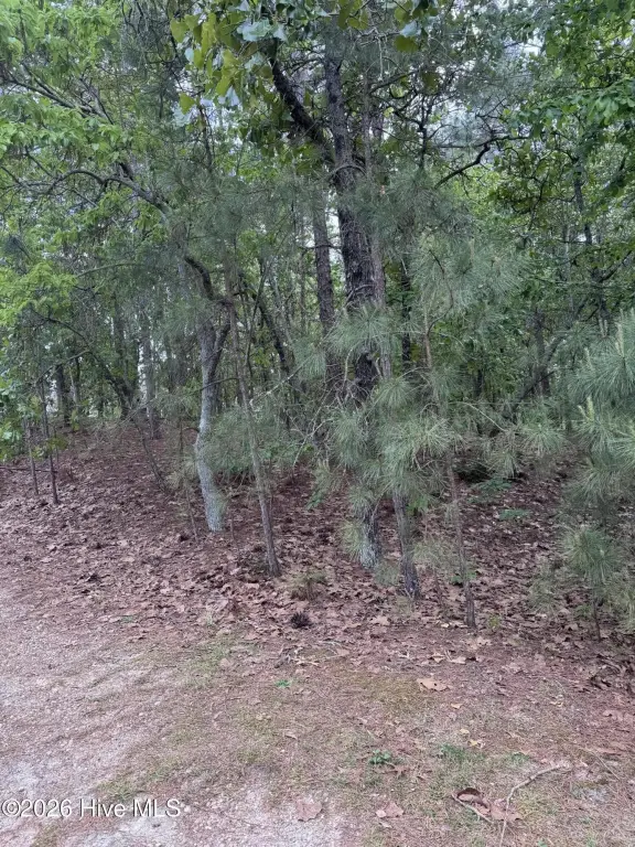 Picture 4