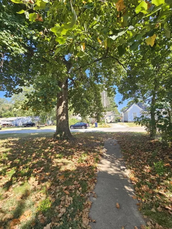 Picture 24