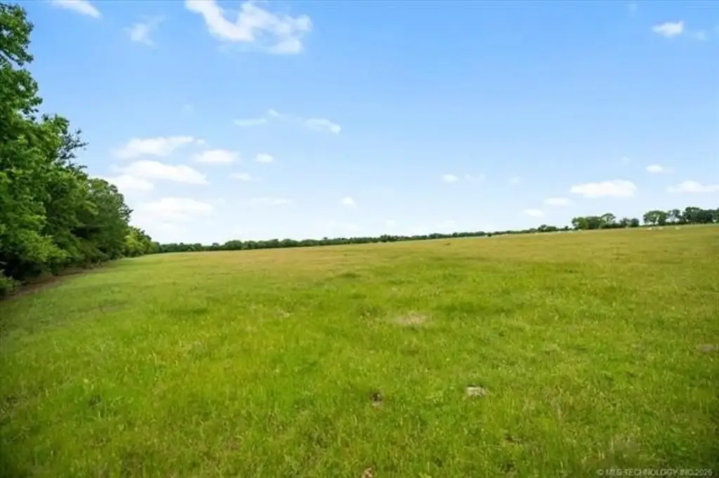 Picture 47