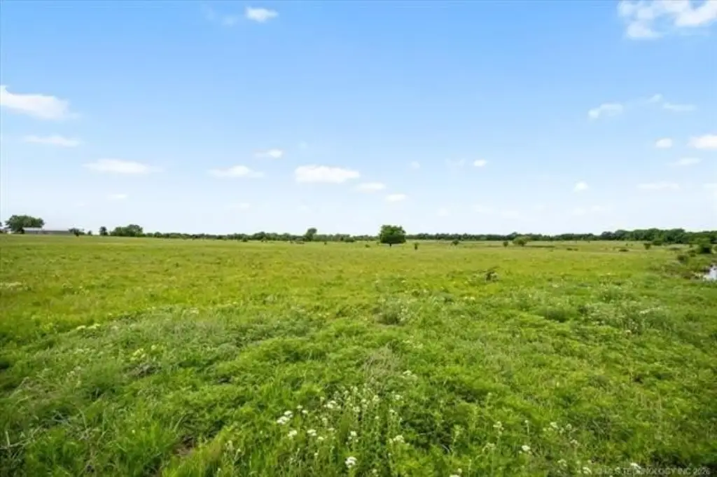 Picture 43