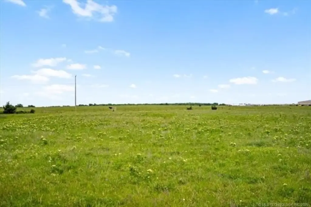 Picture 44